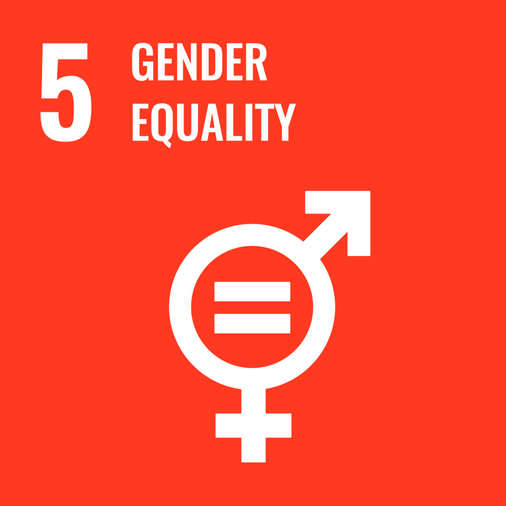 SDG 5 logo