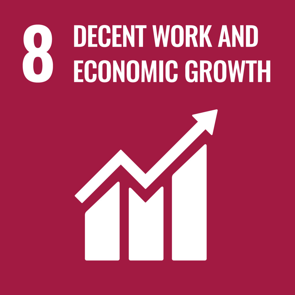 SDG 8 logo